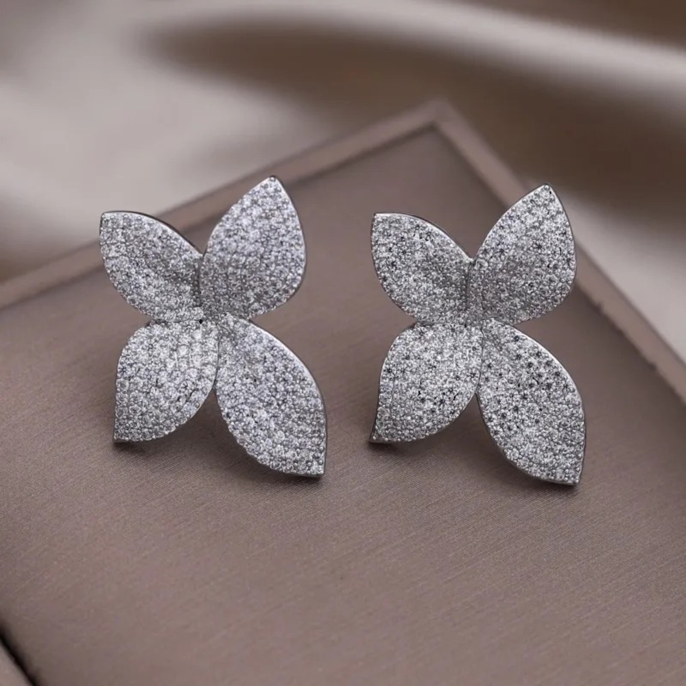 Silver color  brand new earrings